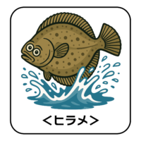 14.hirame-illust