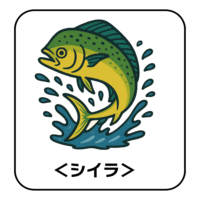 16.shiira-illust