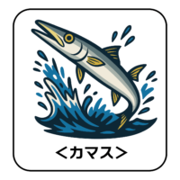 30.kamasu-illust