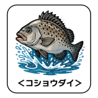 35.koshodai-illust