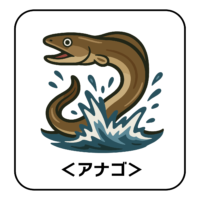 48.anago-illust