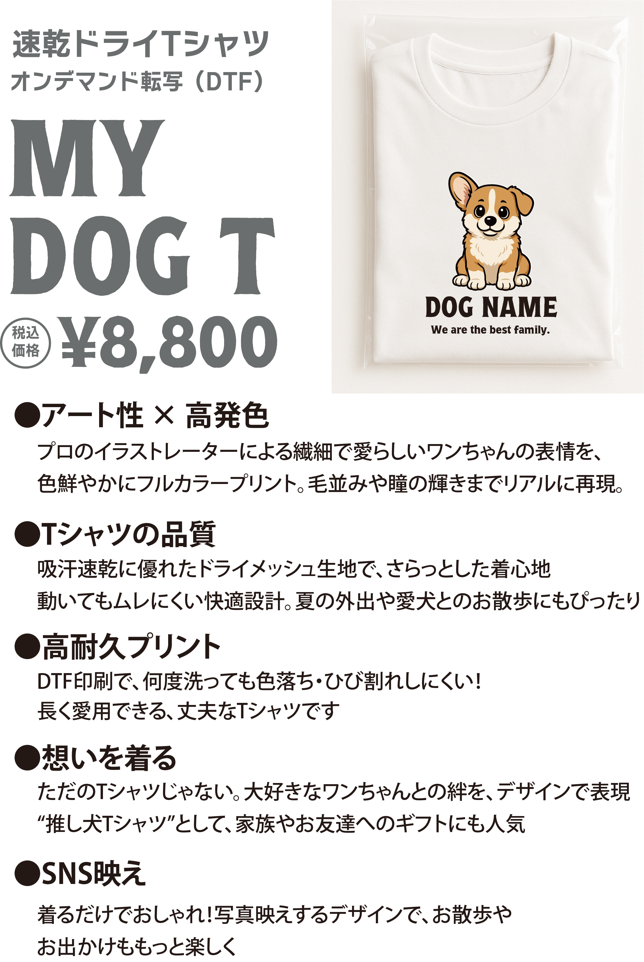 株式会社カスタネット