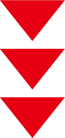 株式会社カスタネット