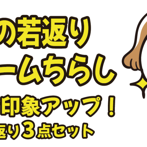 wakagaeri